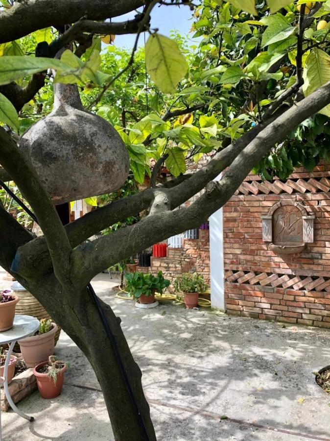 Villa Muzhaqi Nivice Dış mekan fotoğraf
