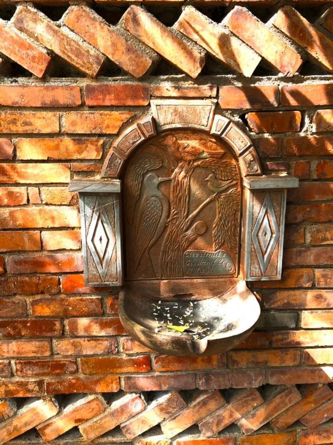 Villa Muzhaqi Nivice Dış mekan fotoğraf