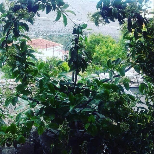 Villa Muzhaqi Nivice Dış mekan fotoğraf