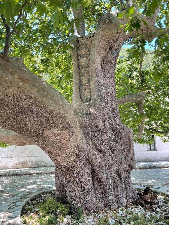 Villa Muzhaqi Nivice Dış mekan fotoğraf
