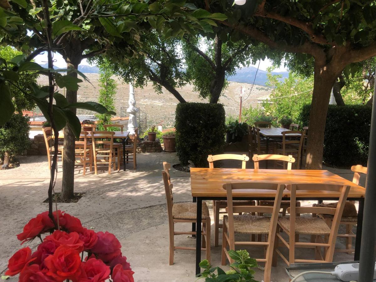 Villa Muzhaqi Nivice Dış mekan fotoğraf