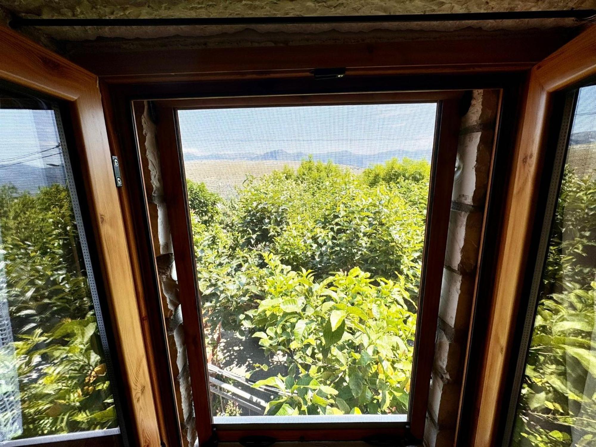 Villa Muzhaqi Nivice Dış mekan fotoğraf